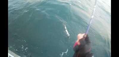 ドラゴンを求めて